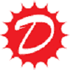 DDN LOGO